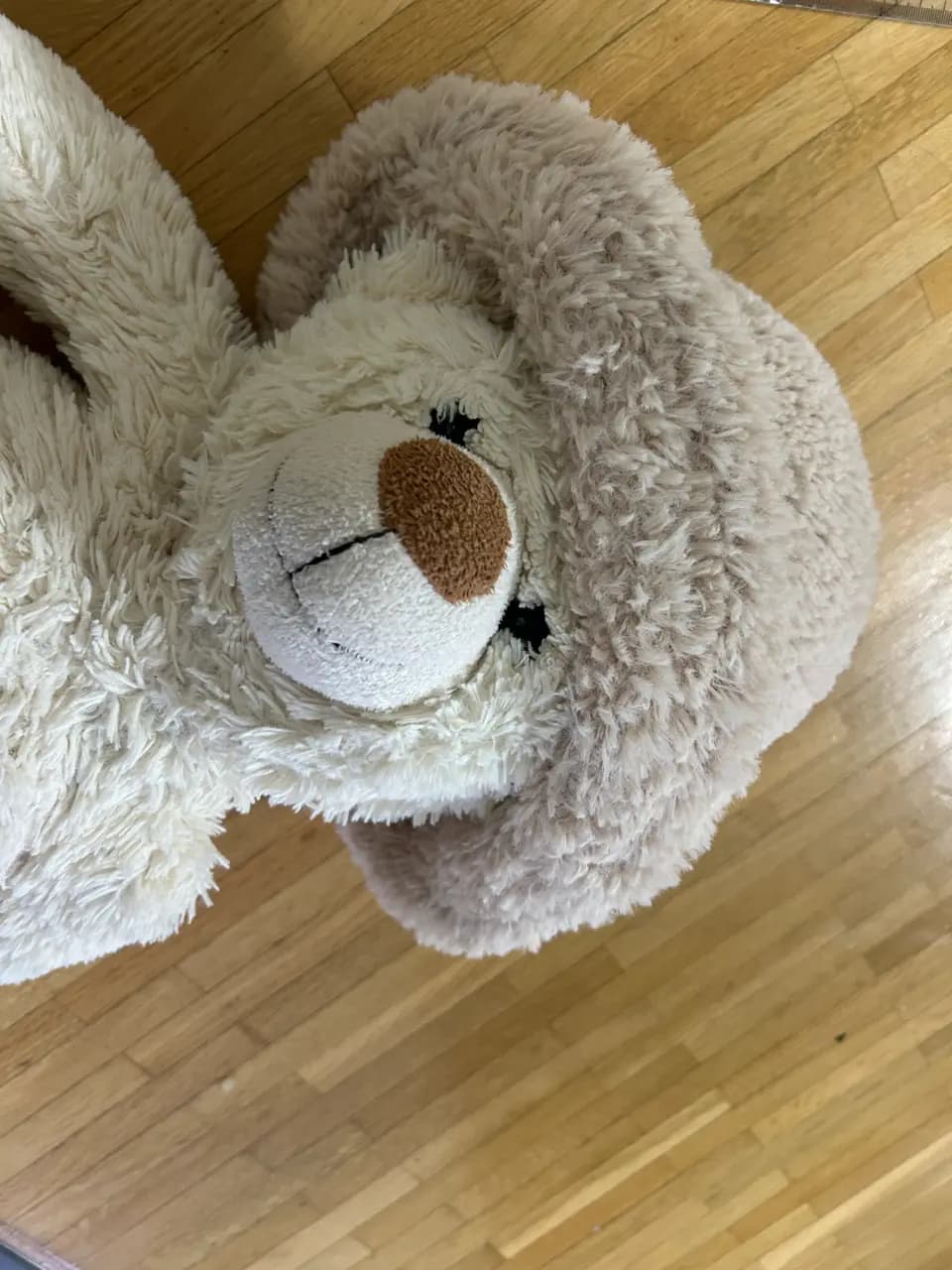 https://resource-prod.urikiri.xyz/backend/TPRsli19jlQVl6Ghxj1QX2cvi7v2/251122_215412-67f10c2b-cf2f-48e6-8c0c-7041614659fb.jpeg