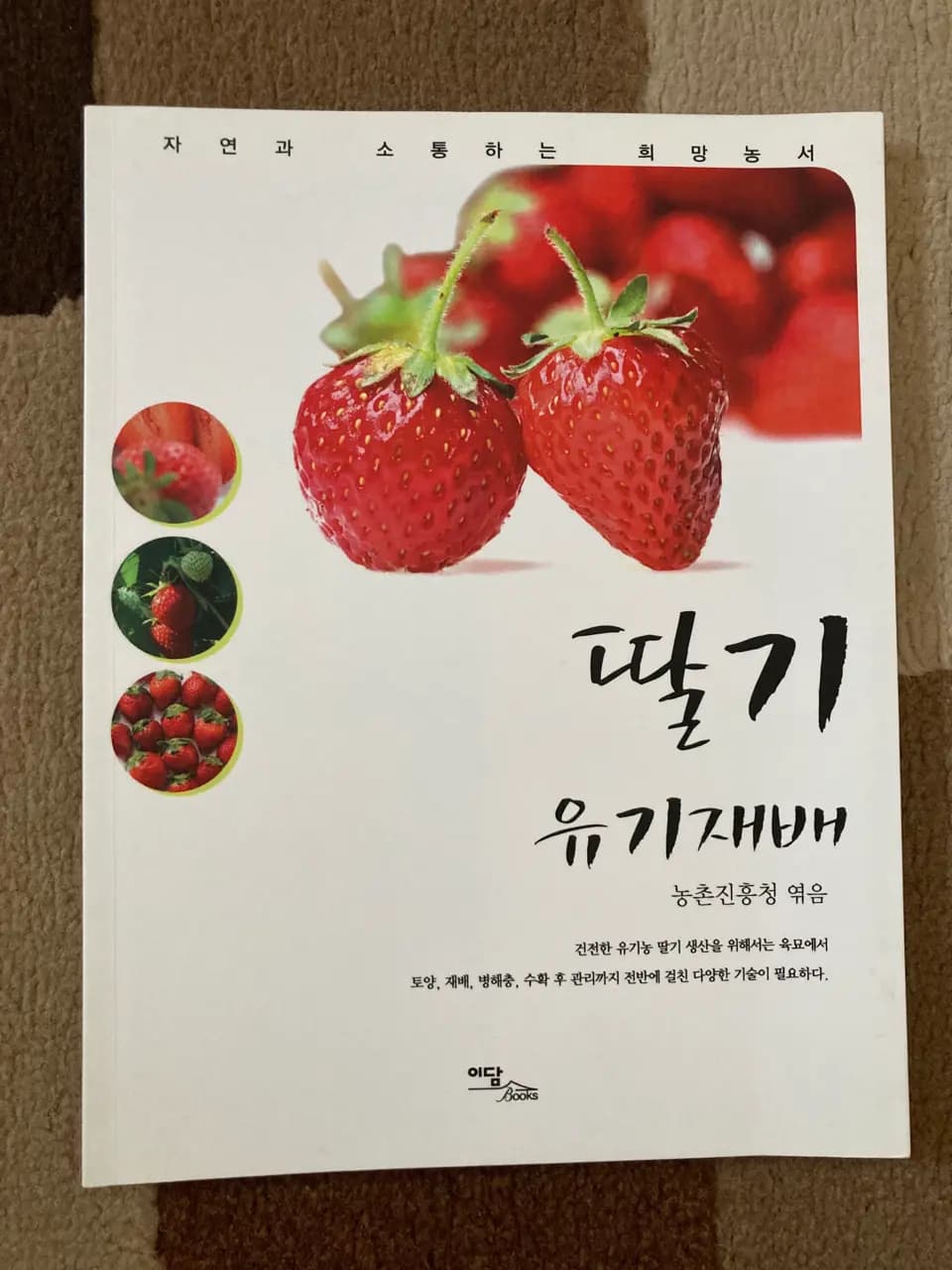 책 유기농딸기 재배하는법