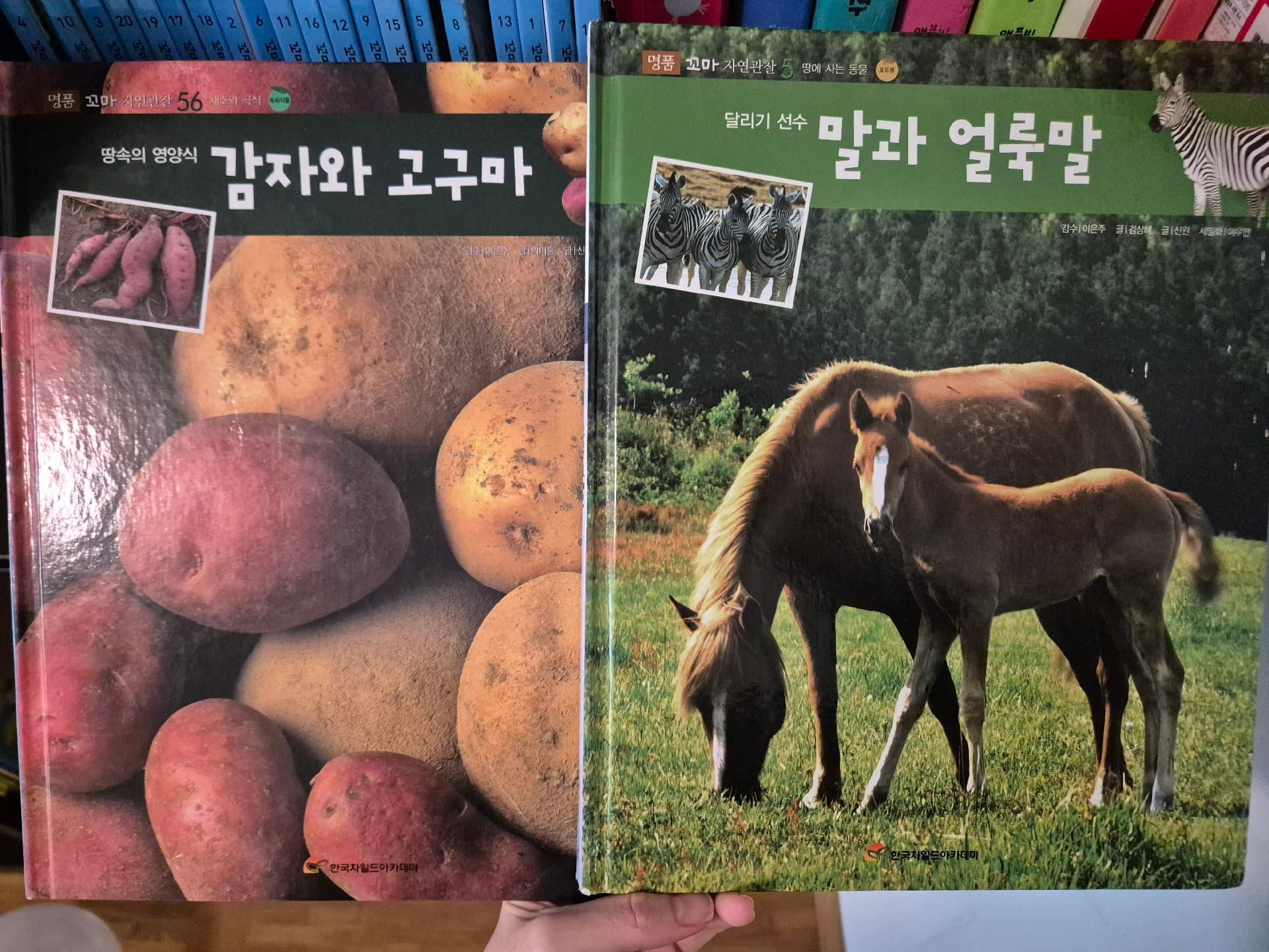 꼬마 자연관찰29권