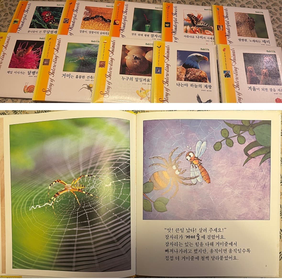 베이빅 과학동화 48권