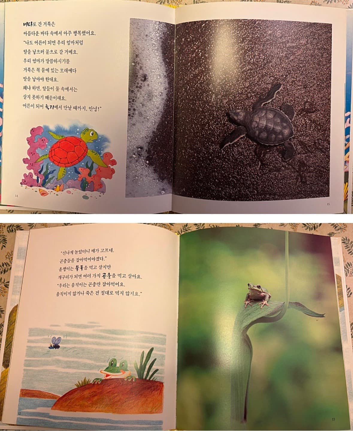 https://resource-prod.urikiri.xyz/uploads/648922d8b04dc978b05c0856/20260624_165800_e2fe4794b5c9c5086fe2b96dbf8ed229_47c8b52479474fe2be6ccd5973b7a09b.jpeg