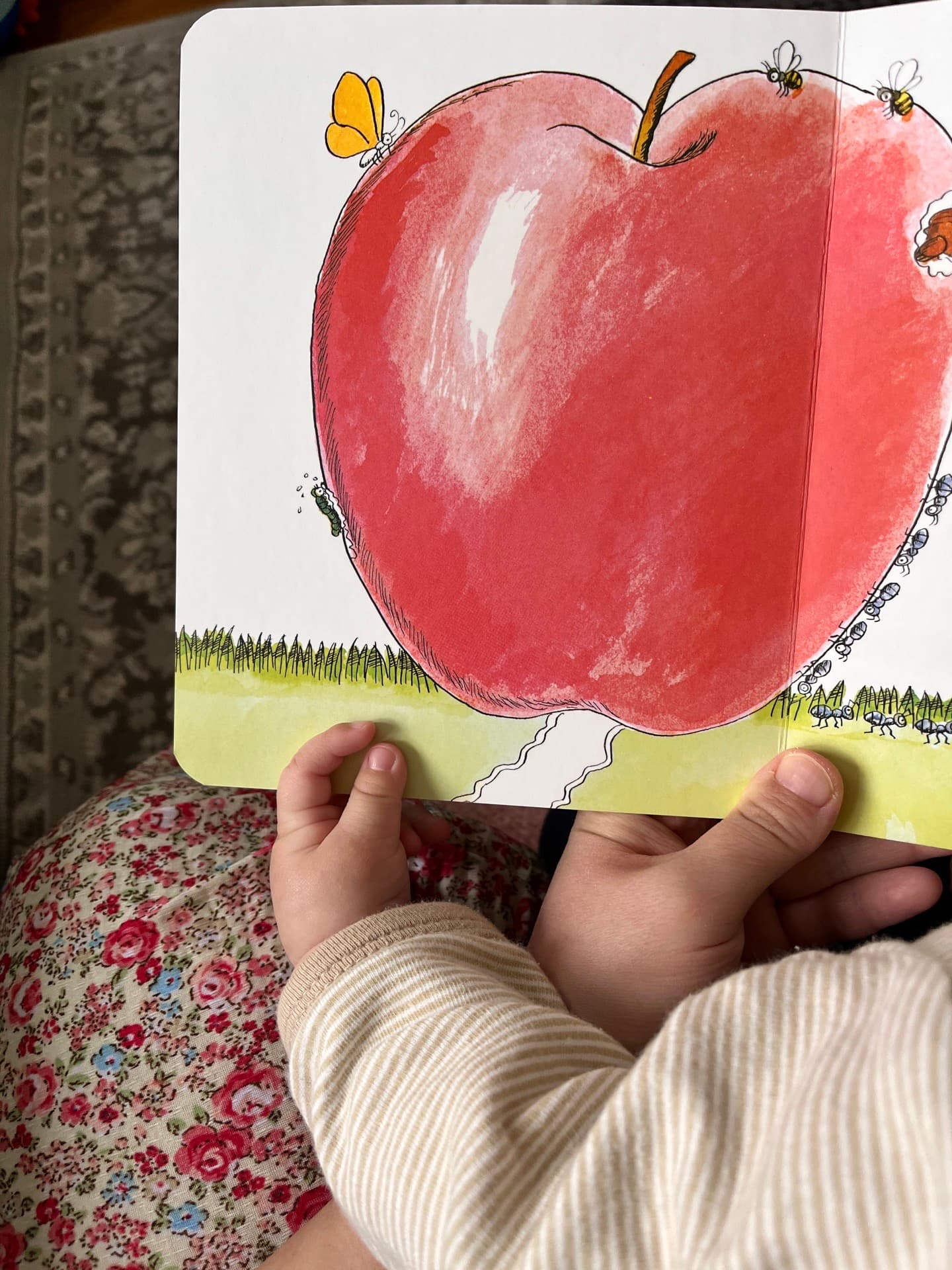 (구해요) 퍼기 큐브틀 구해요