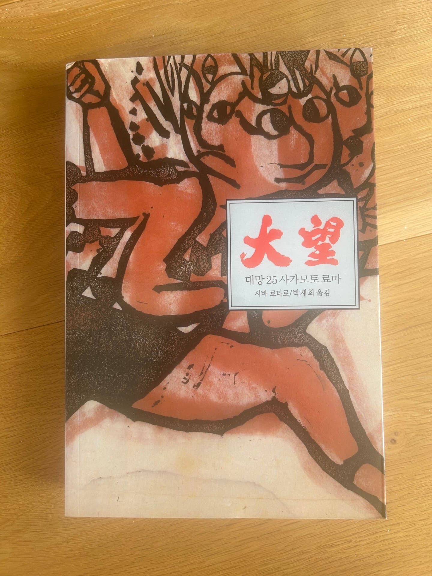 대망 도쿠가와 이에야스 전집