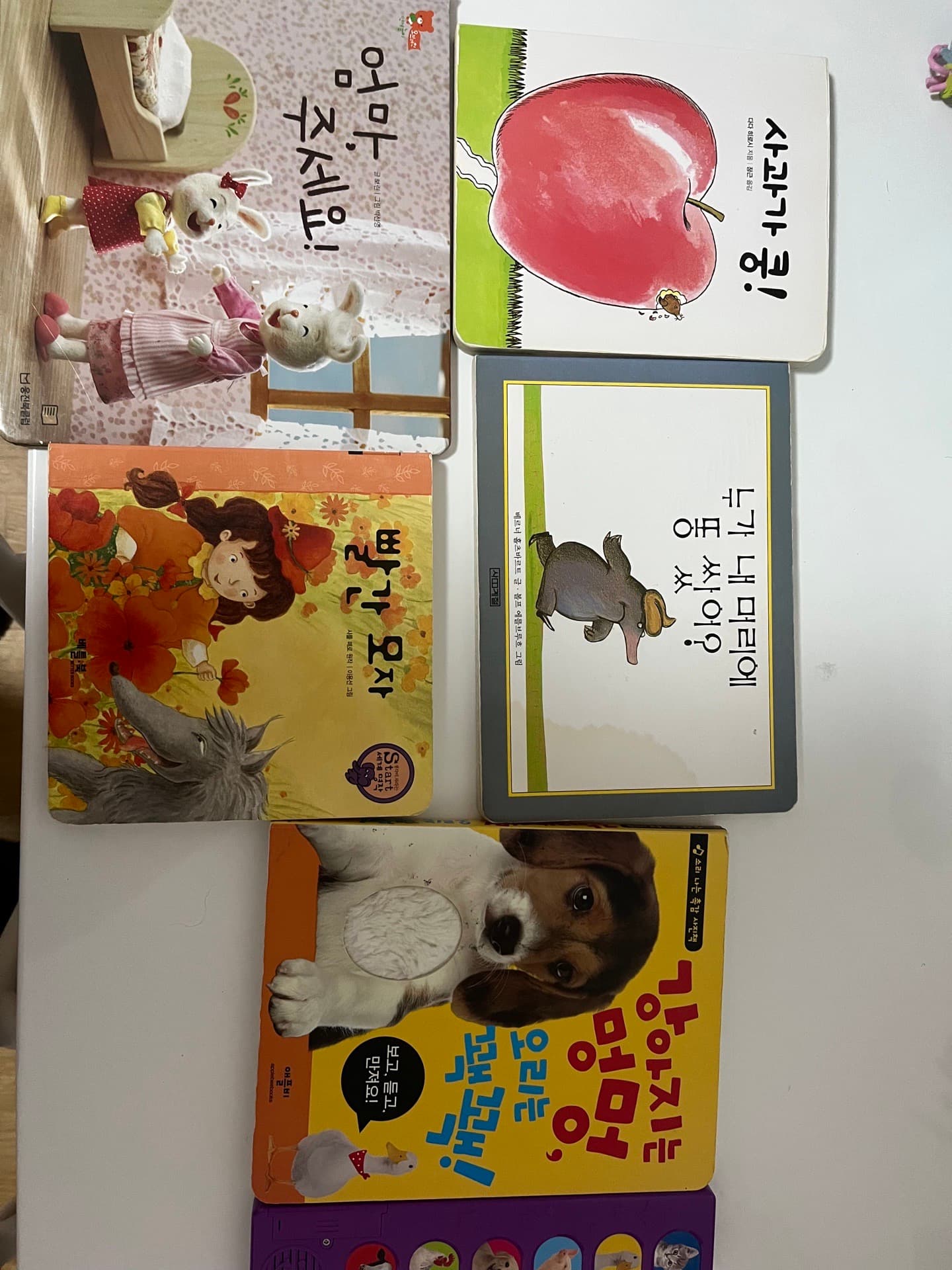 각종 보드북