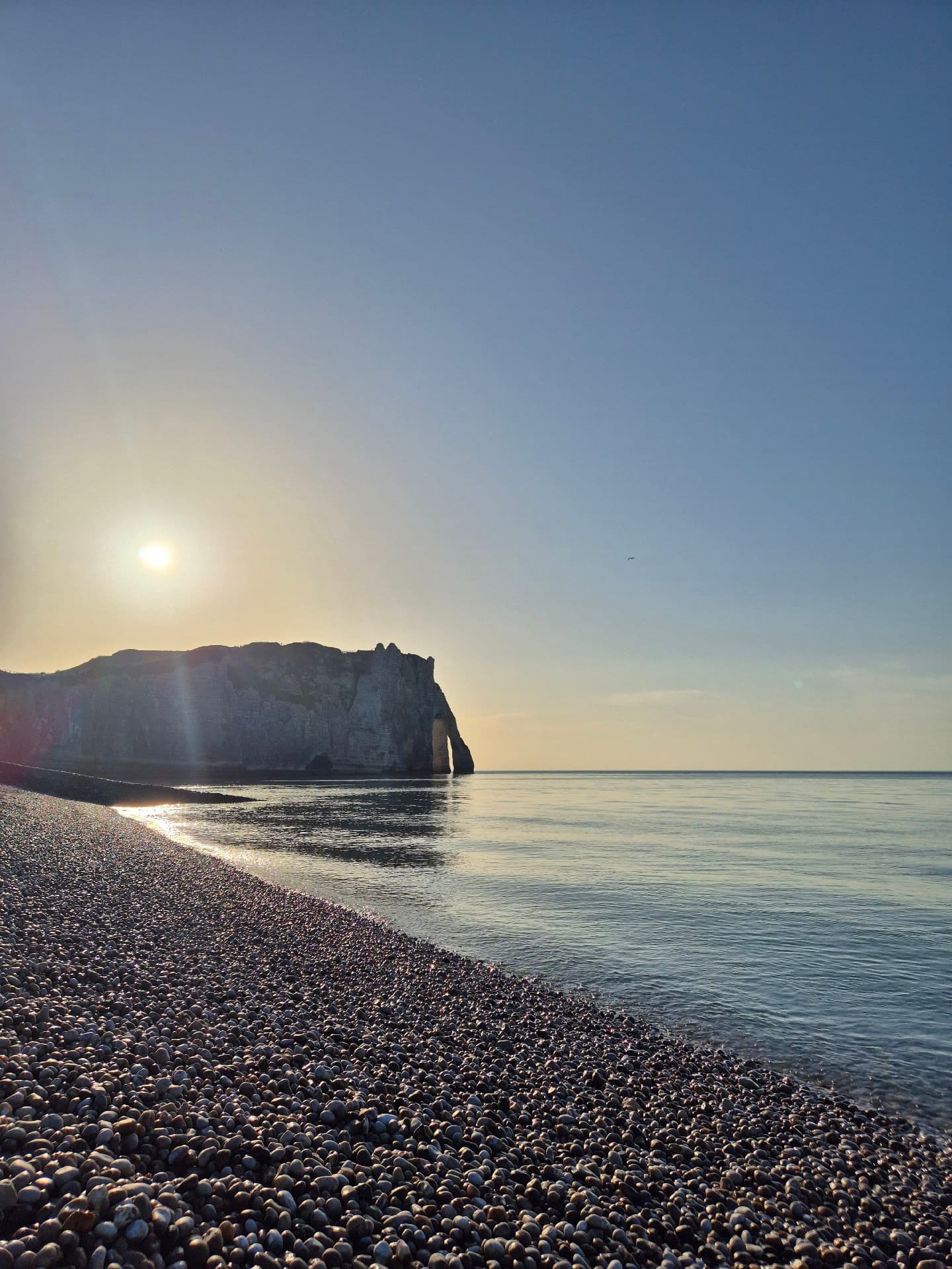 노래 선생님 구합니다