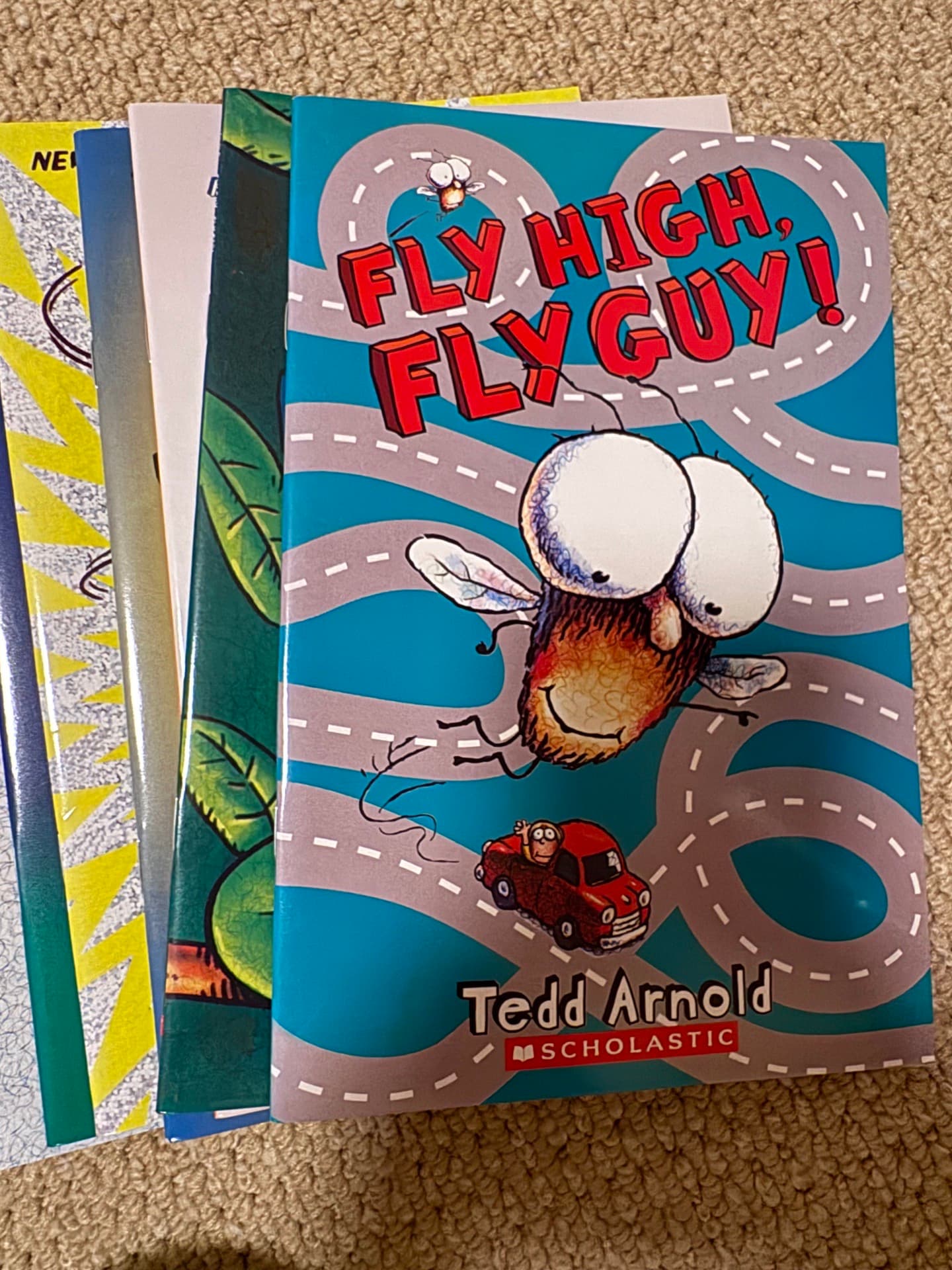 Fly Guy 21권
