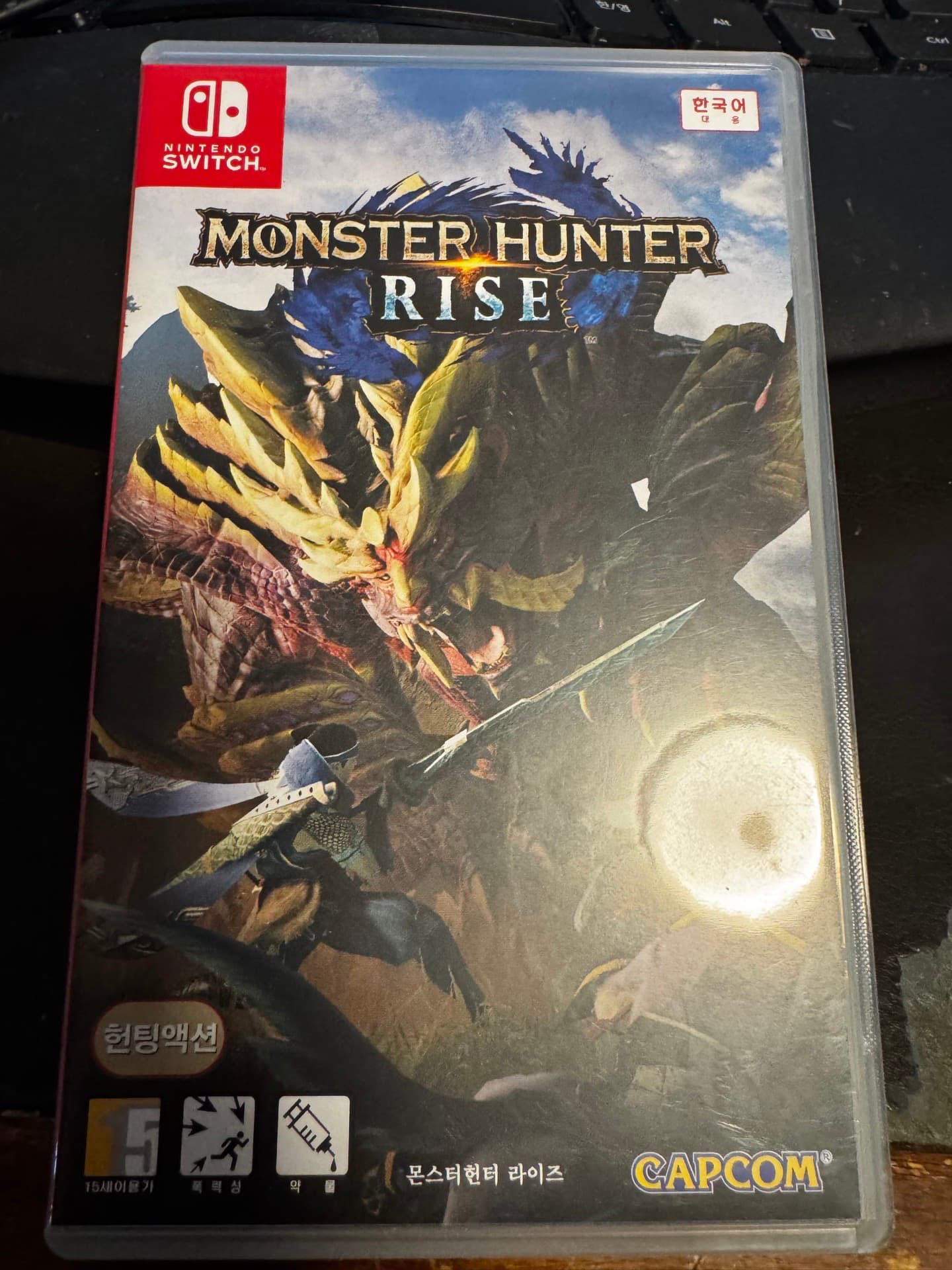 닌텐도 스위치 몬스터 헌터 라이즈